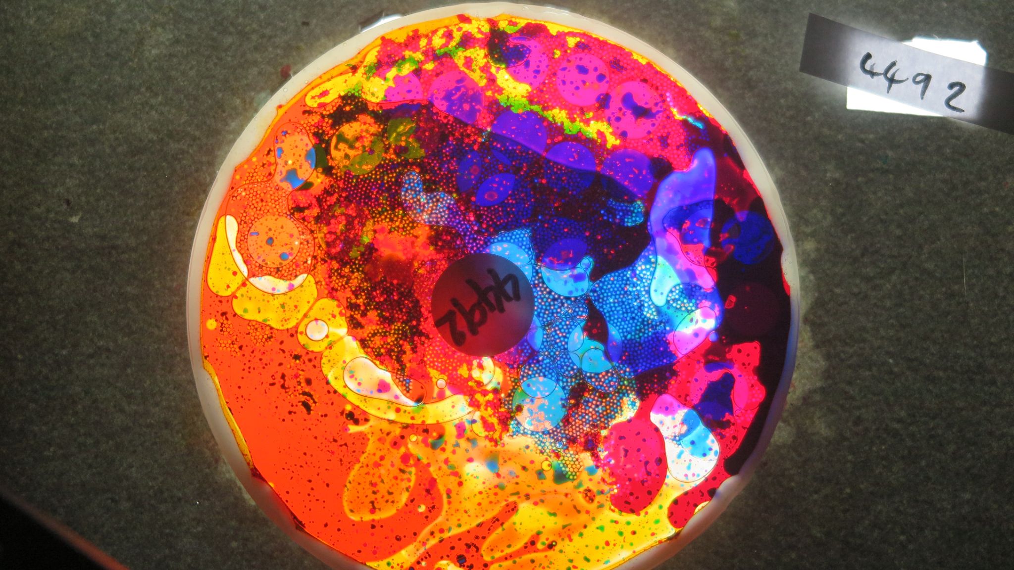 BV4492 bubble vision oil wheel